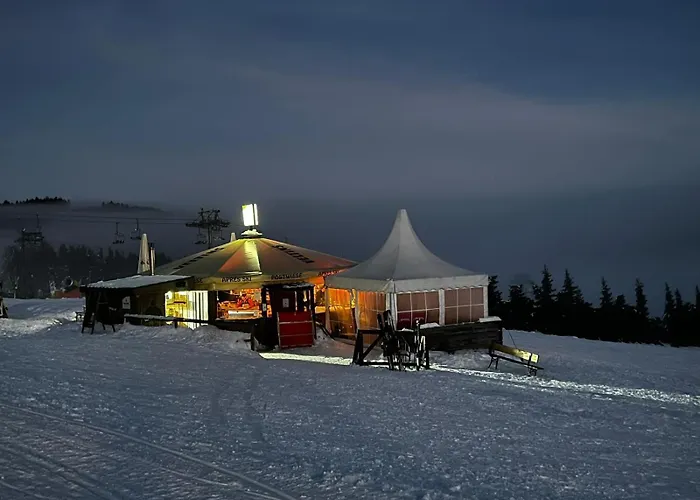 Ferienhaus Wellnessappartement D4